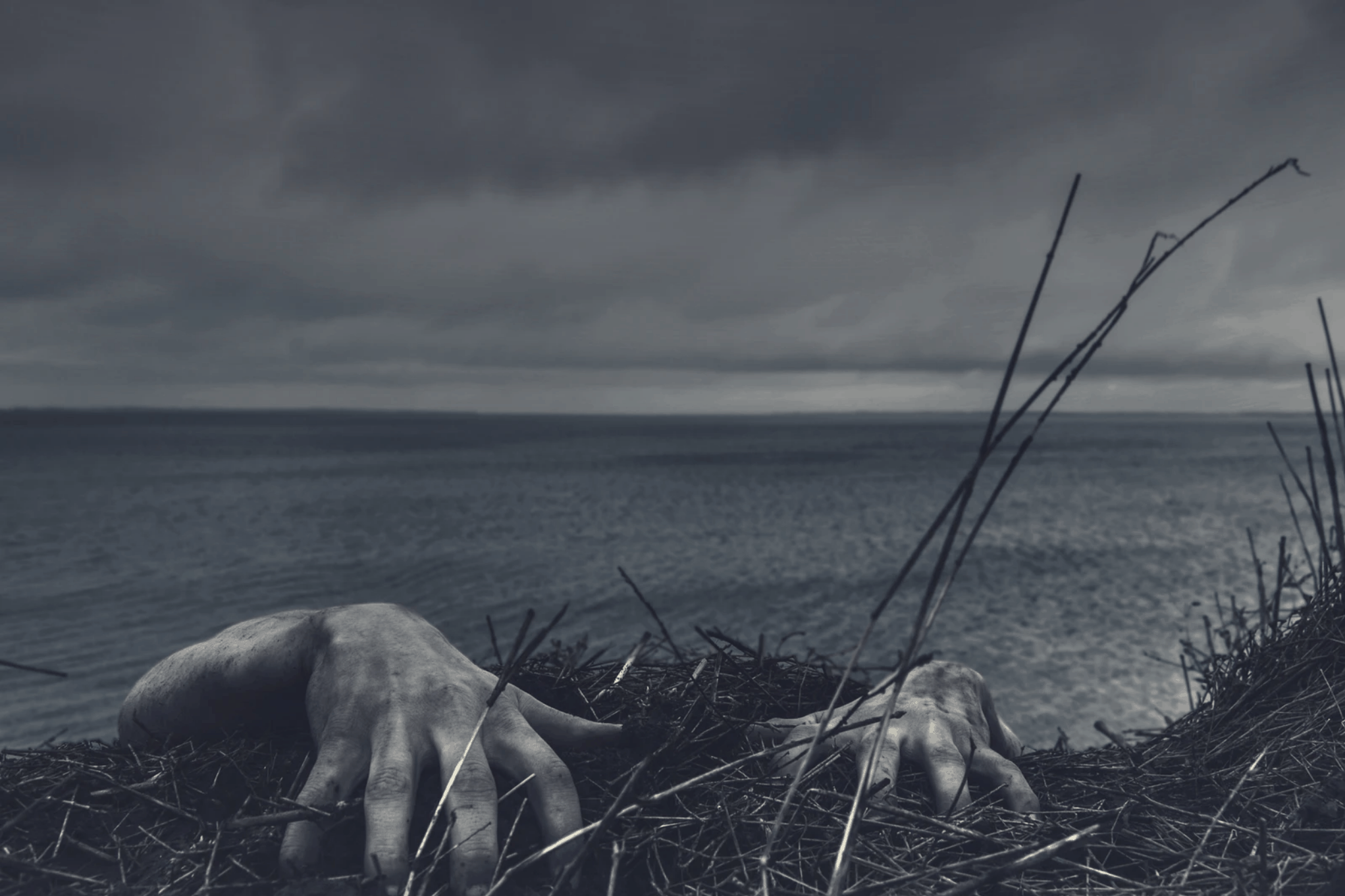 best horror movies ever