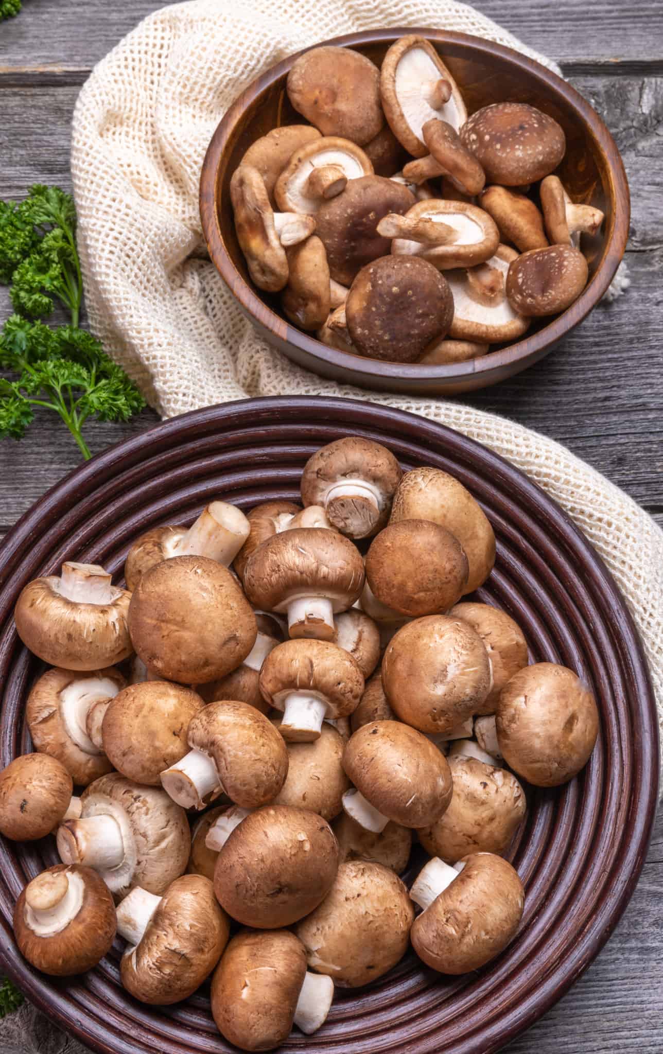 Cremini and Shiitake Mushrooms Cremini and Shiitake Mushrooms