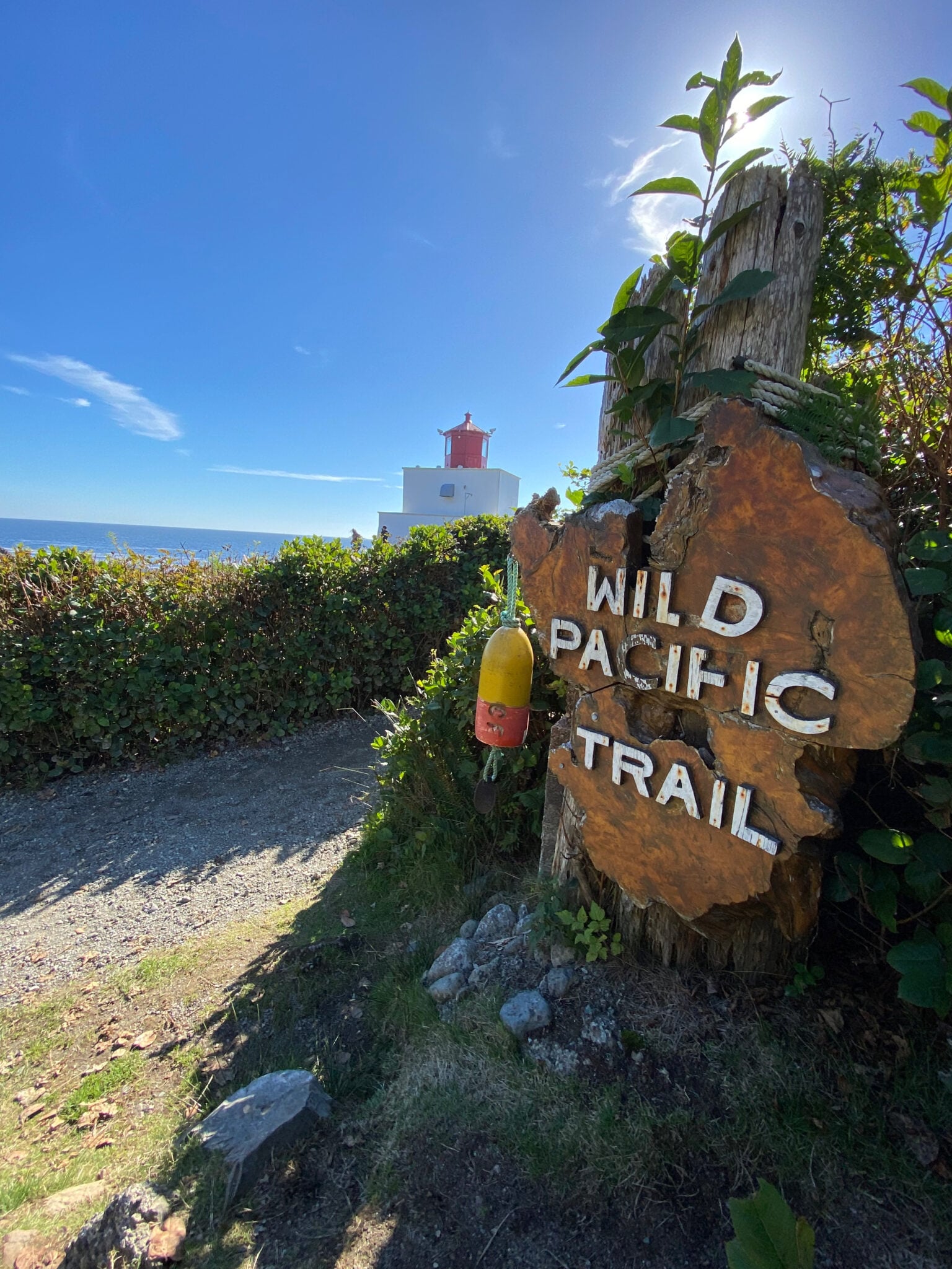 green-point-campground-pacific-rim-national-park-reserve-on-long