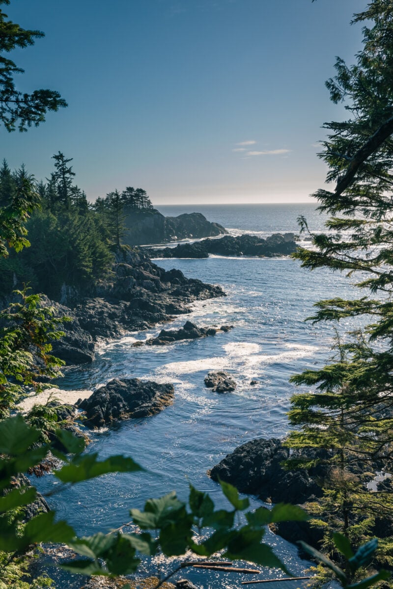 See Stunning Ocean Views On The Wild Pacific Trail - BestEver.Guide