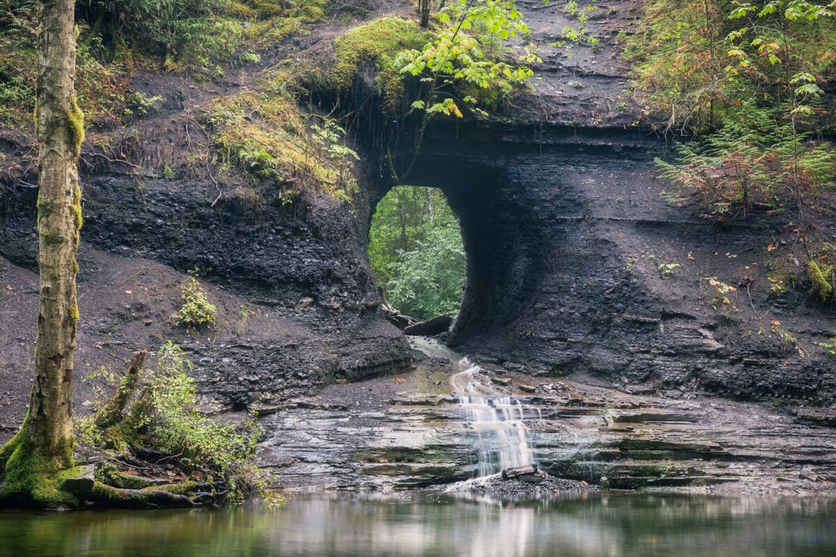 Hidden Hole In The Wall Port Alberni BestEver.Guide