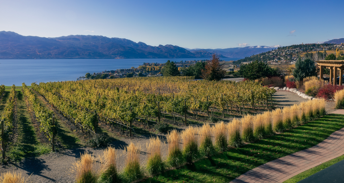 12 Best Kelowna Wineries BestEver.Guide