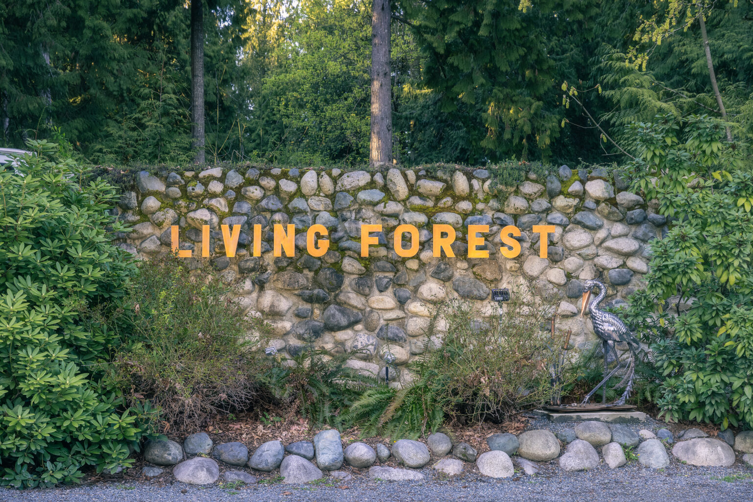 Living Forest Campground Best Nanaimo Camping Experience BestEver.Guide