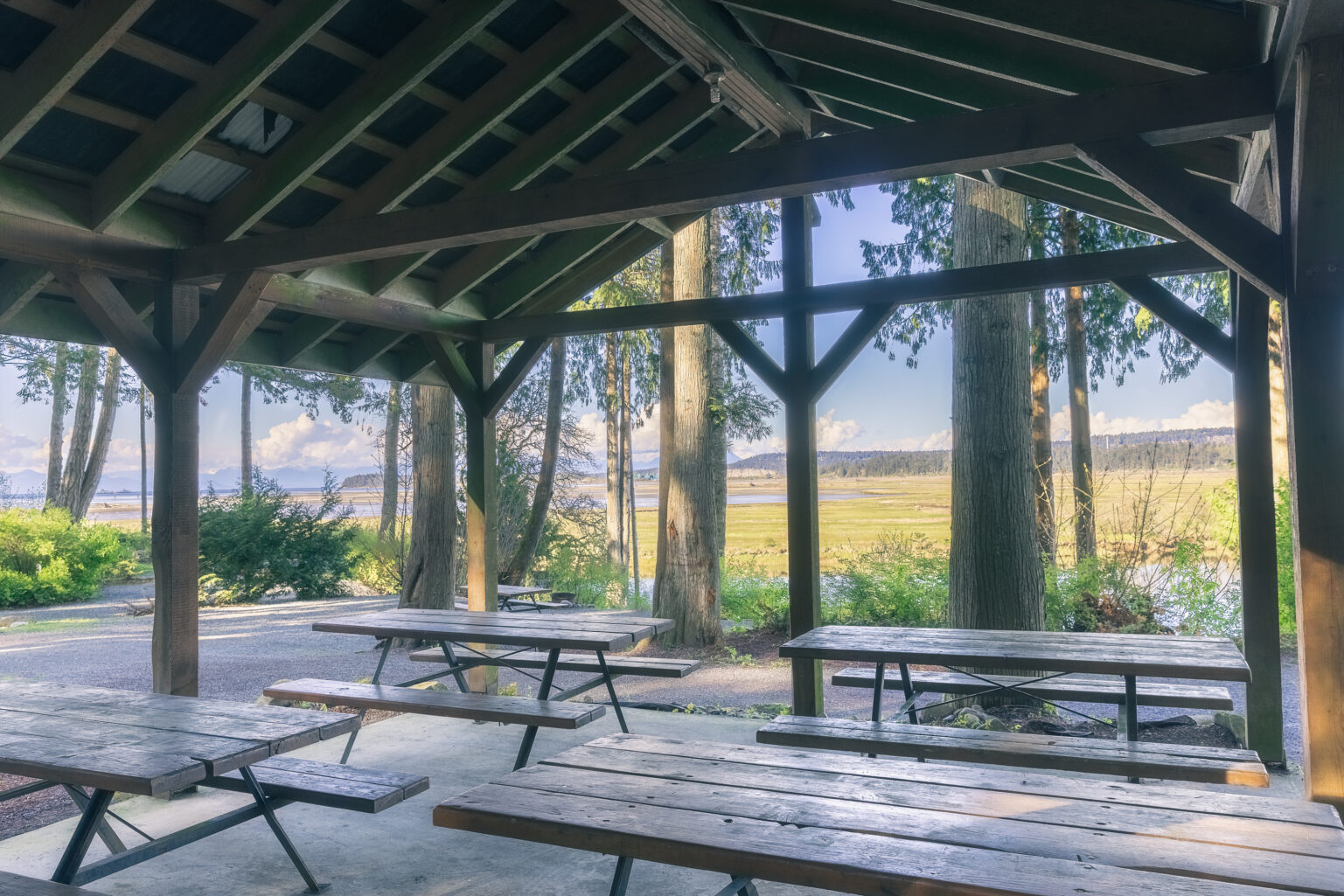 Living Forest Campground Best Nanaimo Camping Experience BestEver.Guide