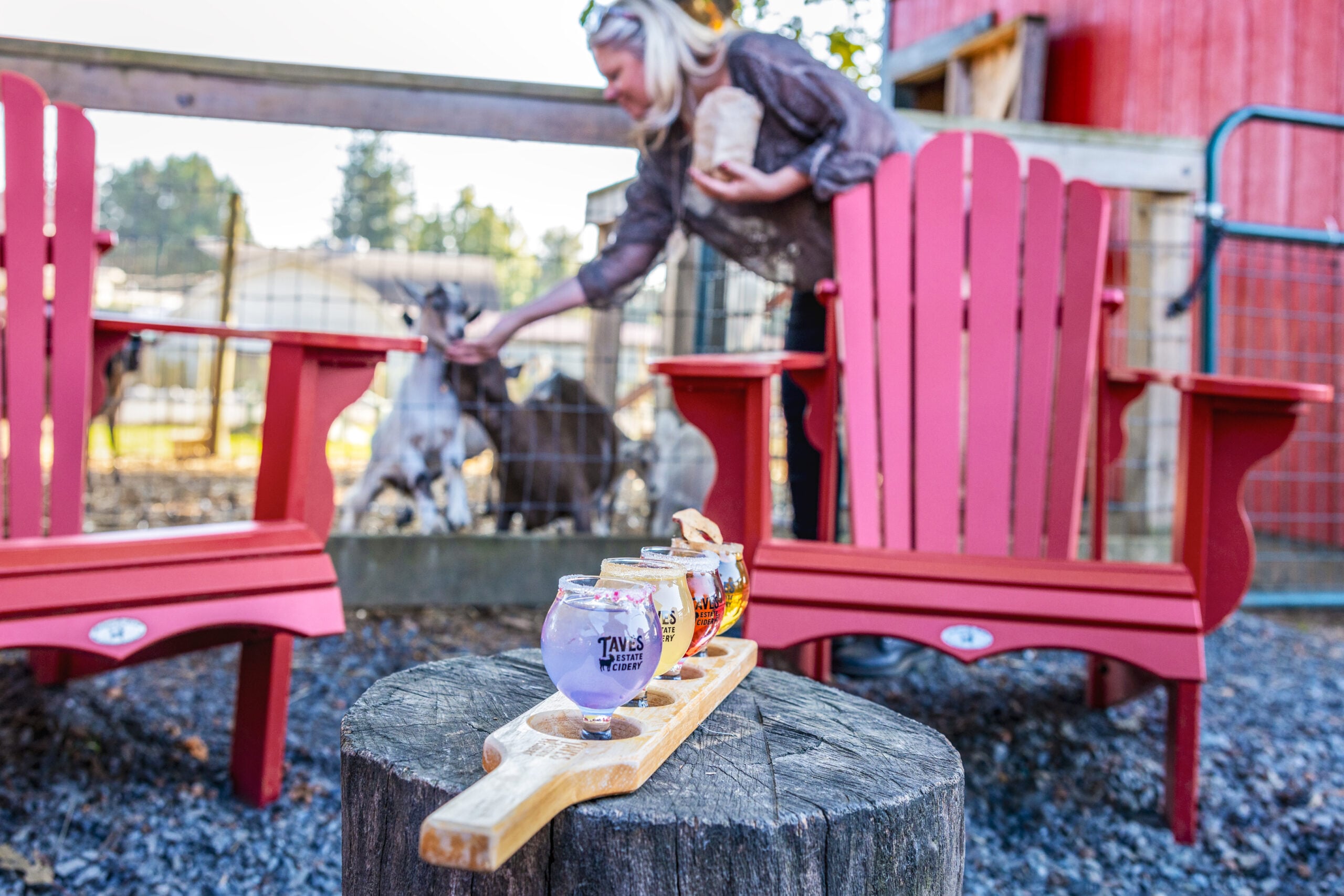 Taves Cider with Goats Taves Cider with Goats