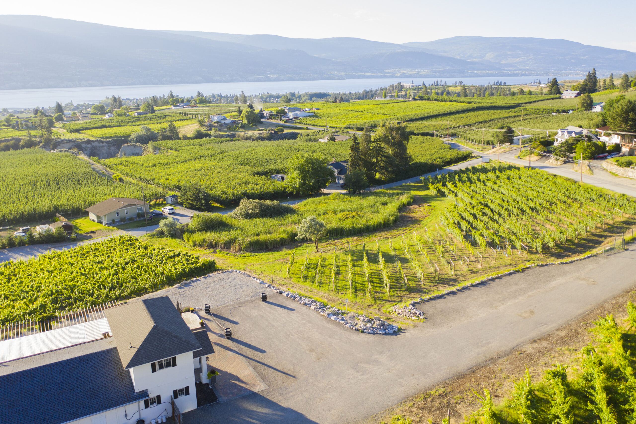 Lunessence Winery Summerland Lunessence Winery Summerland