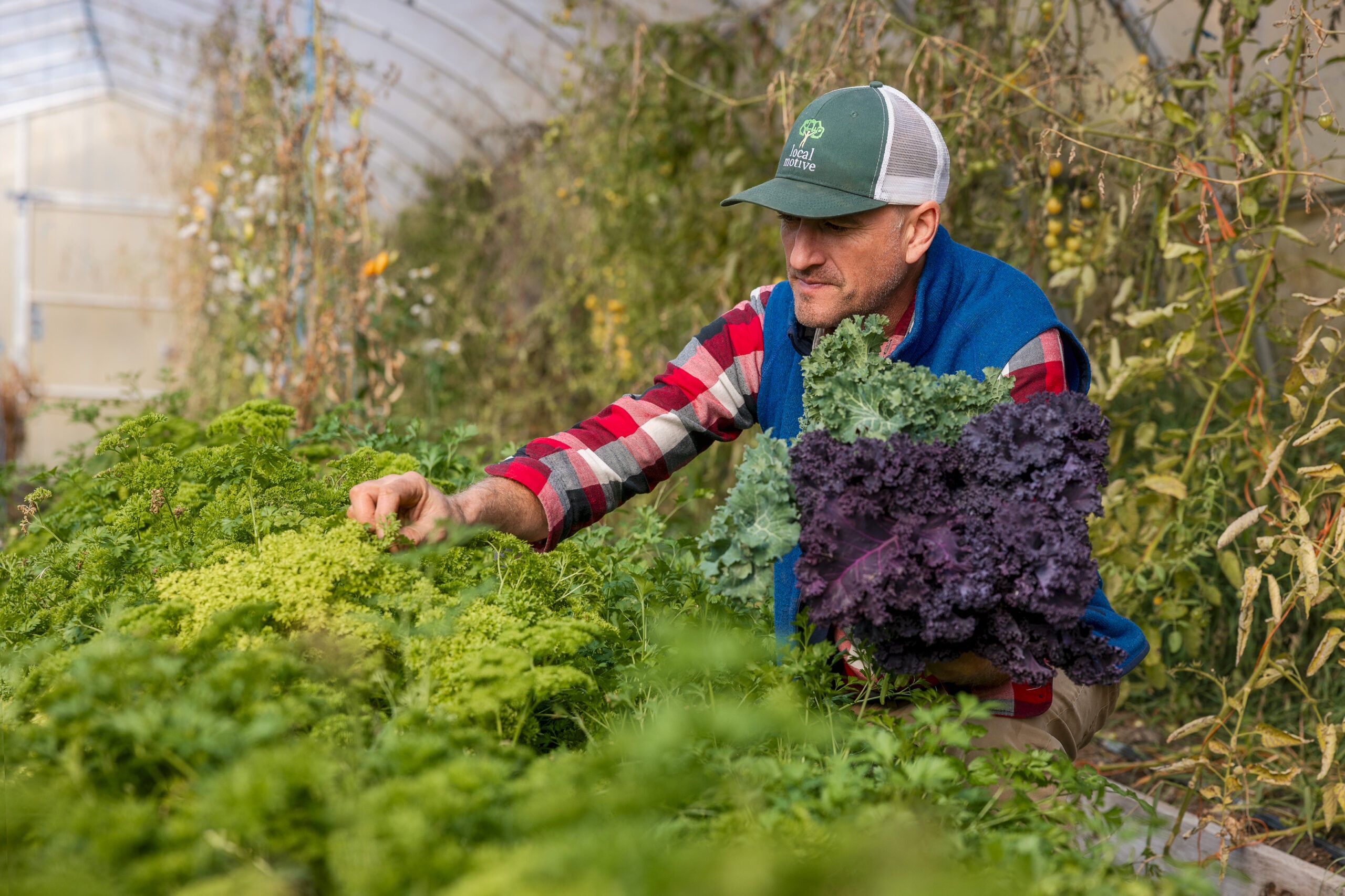 summerland farmers summerland farmers